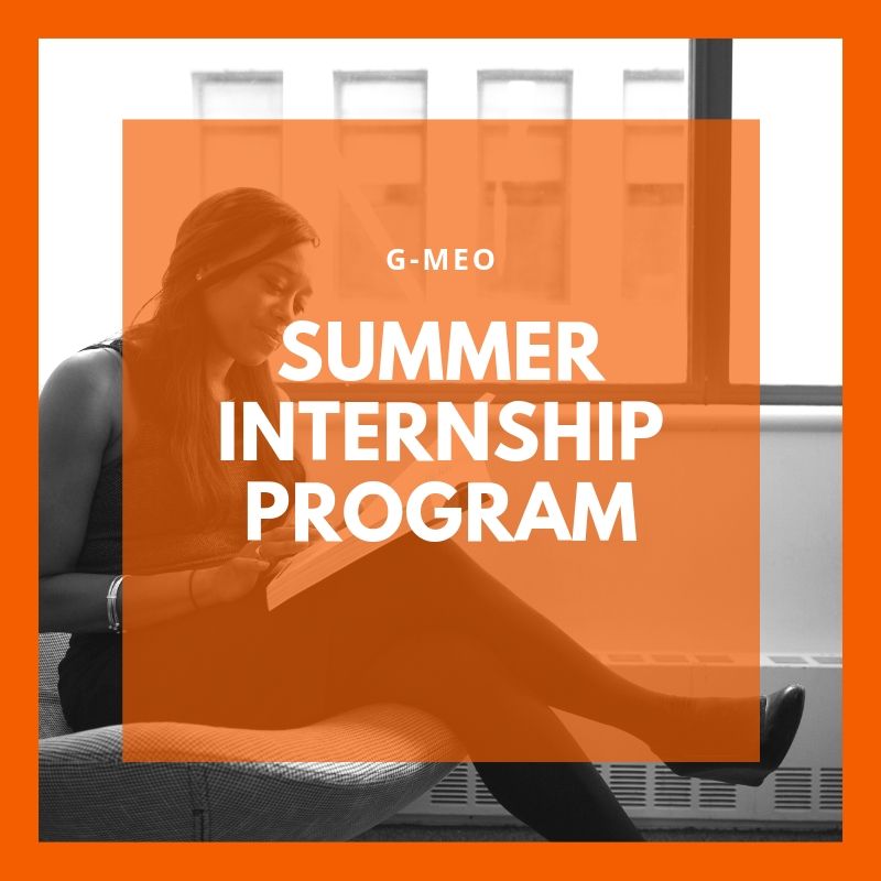 Summer Internship Program