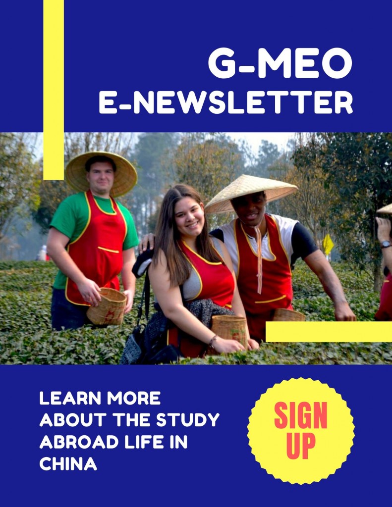 G-MEO E-newsletter Poster